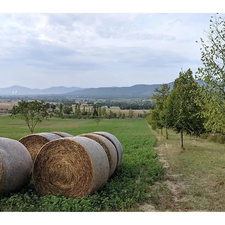 Pet Friendly In Montebuono *